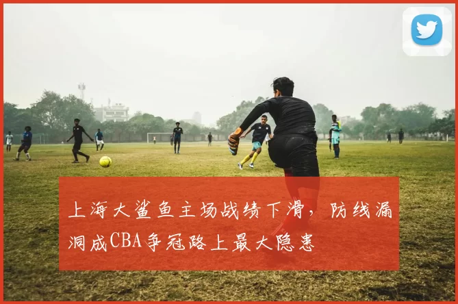 上海大鲨鱼主场战绩下滑,防线漏洞成CBA争冠路上最大隐患